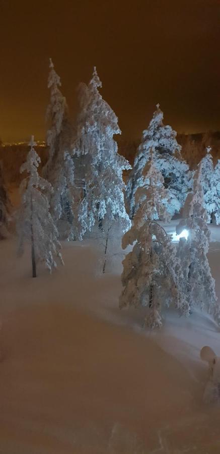 Apartman Mina Divčibare Exterior foto
